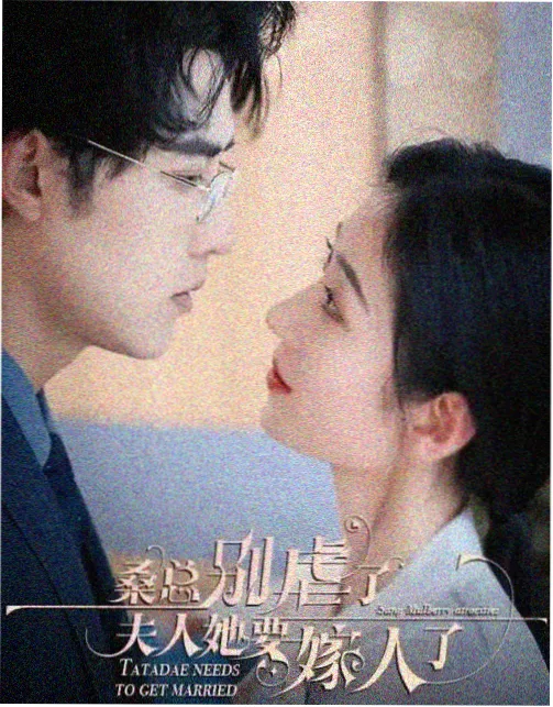 回声岛 手机追剧app下载科幻悬疑剧